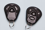 Avital remote controls