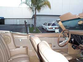 Firebird with switches in door